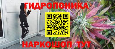 каннабис Кинель