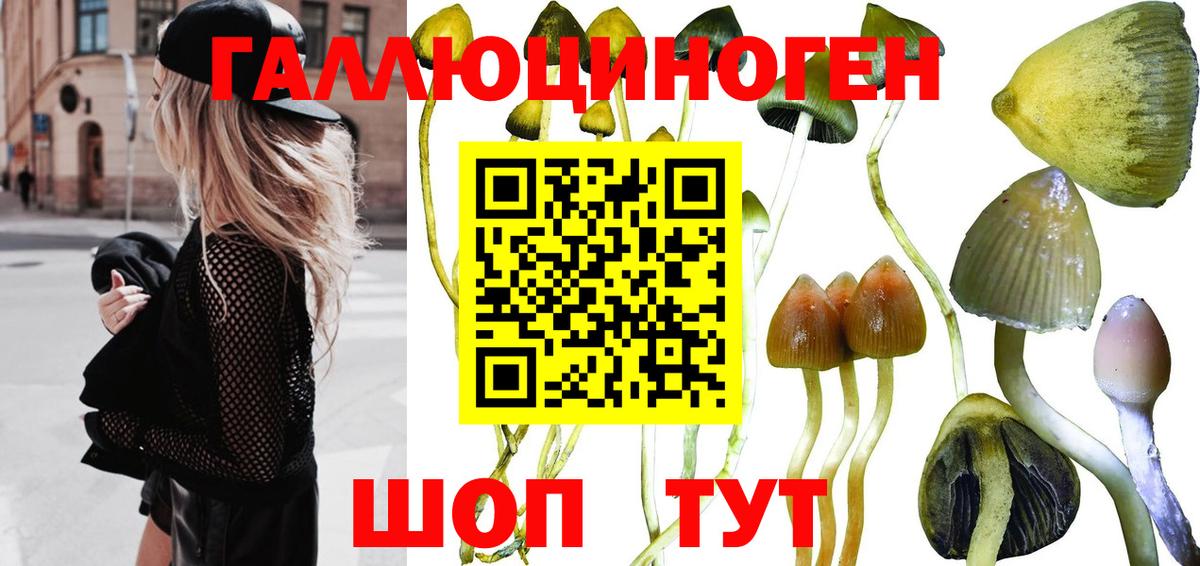 Галлюциногенные грибы GOLDEN TEACHER Лосино-Петровский